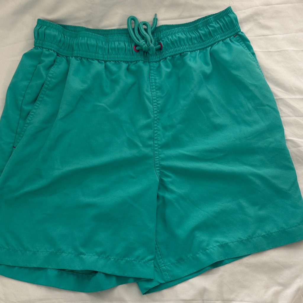 Teal Men's Swim Shorts
